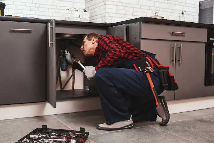 Plumber fixing a sink